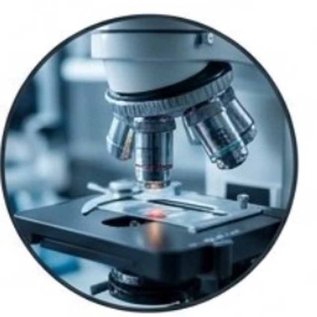 Microscopio de laboratorio, símbolo de la infraestructura científica bajo presión.